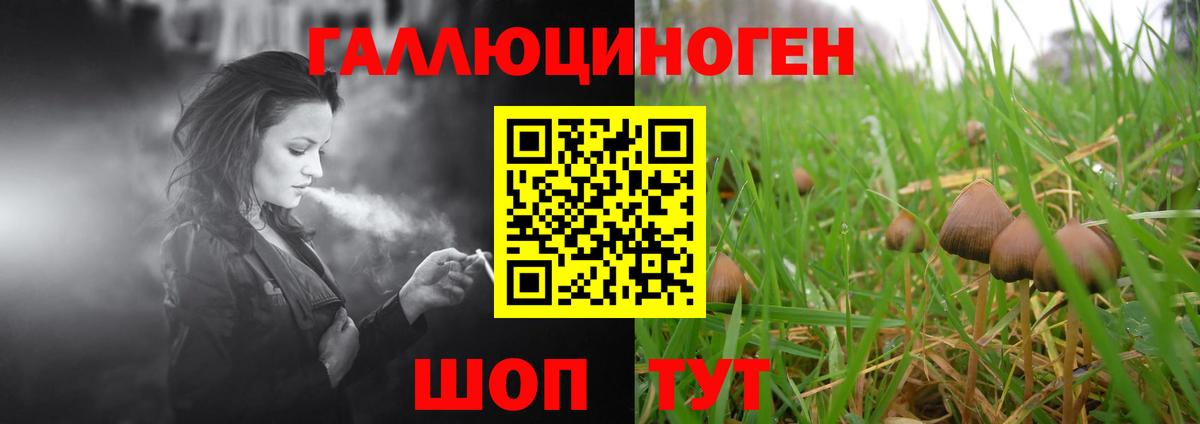 Галлюциногенные грибы GOLDEN TEACHER Осинники